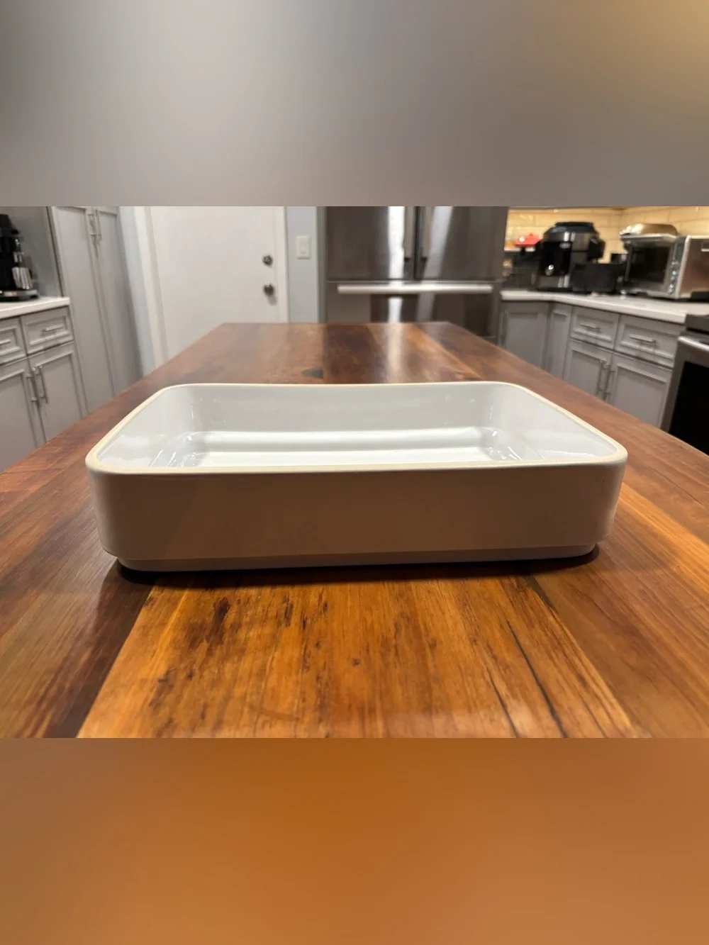 Birdie Crate & Barrel Stoneware 9 x 13 Casserole Dish by Daniel Humm - NEW